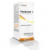 PENTRIVET 1 MILLON