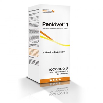 PENTRIVET 1 MILLON
