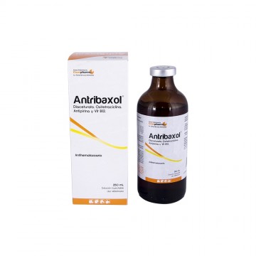 ANTRIBAXOL 250 ML