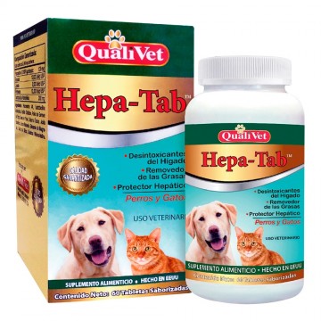 HEPATAB X 60 TAB