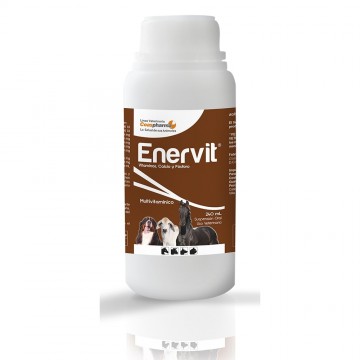 ENERVIT 240 ML
