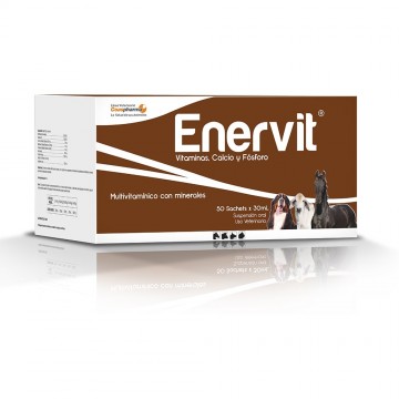 ENERVIT SACHET 30 ML