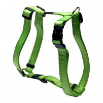 COLLAR  LUMBERJACK SJ05-L